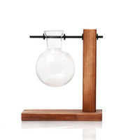 Elegant Nordic Wood and Glass Hydroponic Vase Set